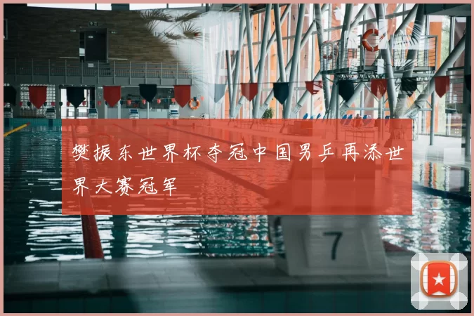 樊振东世界杯夺冠中国男乒再添世界大赛冠军